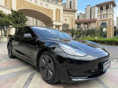 Tesla Model 3 Rear-Wheel Drive - ფოტო 3