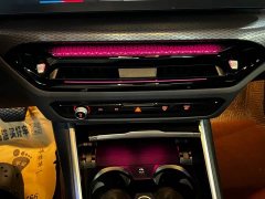 BMW 3 Series 330Li M Sport Night Edition Package - ფოტო 10