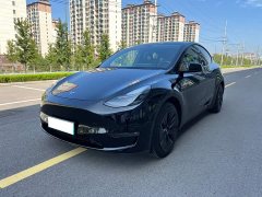 Tesla Model Y Standard Range RWD - ფოტო 1