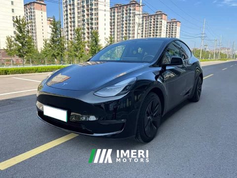 2021 Tesla Model Y Standard Range RWD - ავტომობილი ჩინეთიდან