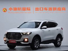 Haval H6 2021 National Trend 1.5T Automatic Champion Edition - ფოტო 1
