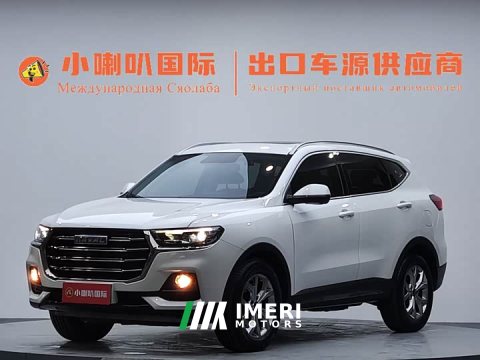 2022 Haval H6 2021 National Trend 1.5T Automatic Champion Edition - ავტომობილი ჩინეთიდან