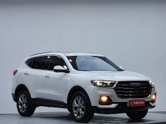 Haval H6 2021 National Trend 1.5T Automatic Champion Edition - ფოტო 4