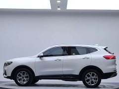 Haval H6 2021 National Trend 1.5T Automatic Champion Edition - ფოტო 5