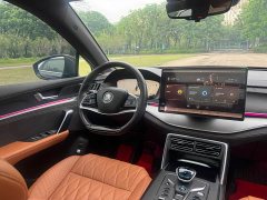 BYD Yuan Plus DM-i Champion Edition 112KM Deluxe - ფოტო 9