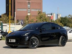 Tesla Model Y Rear-Wheel Drive - ფოტო 1
