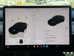 Tesla Model Y Rear-Wheel Drive - ფოტო 15