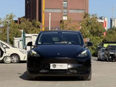 Tesla Model Y Rear-Wheel Drive - ფოტო 2