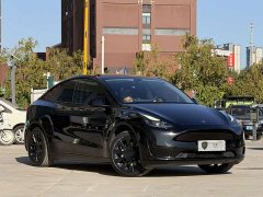 Tesla Model Y Rear-Wheel Drive - ფოტო 3