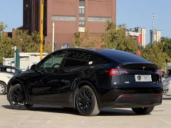 Tesla Model Y Rear-Wheel Drive - ფოტო 4