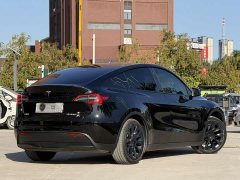Tesla Model Y Rear-Wheel Drive - ფოტო 6