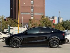 Tesla Model Y Rear-Wheel Drive - ფოტო 7