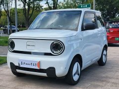 Geely Panda Mini 200km Endurance Edition - ფოტო 1