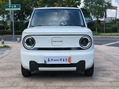 Geely Panda Mini 200km Endurance Edition - ფოტო 2