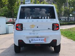 Geely Panda Mini 200km Endurance Edition - ფოტო 5