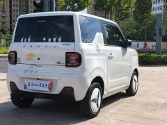 Geely Panda Mini 200km Endurance Edition - ფოტო 6