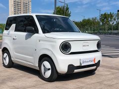 Geely Panda Mini 200km Endurance Edition - ფოტო 8