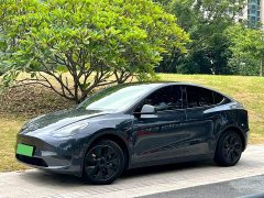 Tesla Model Y Rear-Wheel Drive - ფოტო 1