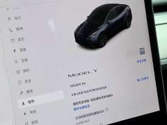 Tesla Model Y Rear-Wheel Drive - ფოტო 16