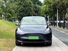 Tesla Model Y Rear-Wheel Drive - ფოტო 2