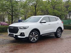 Haval H6 2023 National Trend Edition 1.5T Automatic Champion Version - ფოტო 1