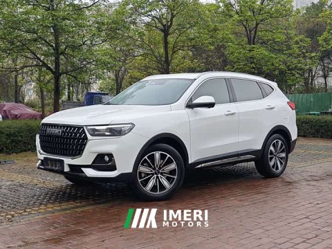 2024 Haval H6 2023 National Trend Edition 1.5T Automatic Champion Version - ავტომობილი ჩინეთიდან