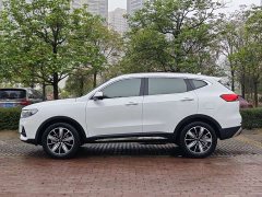 Haval H6 2023 National Trend Edition 1.5T Automatic Champion Version - ფოტო 4