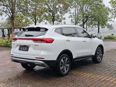 Haval H6 2023 National Trend Edition 1.5T Automatic Champion Version - ფოტო 8