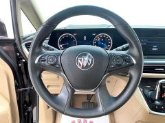 Buick GL8 ES Land Respect 653T Luxury - ფოტო 14