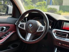 BMW 3 Series 320Li M Sport Package - ფოტო 10