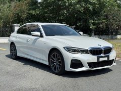 BMW 3 Series 320Li M Sport Package - ფოტო 3
