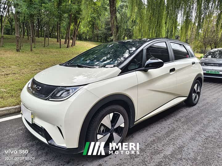 BYD Dolphin 420km Fashion Edition - ავტომობილი ჩინეთიდან