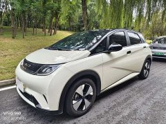 BYD Dolphin 420km Fashion Edition - ფოტო 1