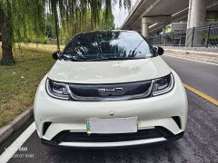 BYD Dolphin 420km Fashion Edition - ფოტო 2