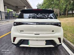 BYD Dolphin 420km Fashion Edition - ფოტო 4