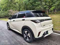BYD Dolphin 420km Fashion Edition - ფოტო 5