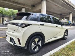 BYD Dolphin 420km Fashion Edition - ფოტო 6