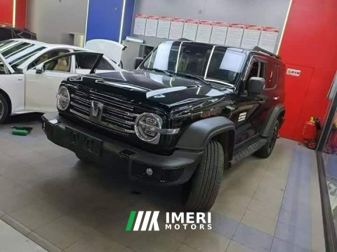 2025 Tank 300 New Energy Hi4-T 36.7kWh - ავტომობილი ჩინეთიდან