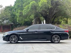 BMW 5 Series 530Li Premier M Sport Package - ფოტო 13