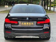 BMW 5 Series 530Li Premier M Sport Package - ფოტო 15