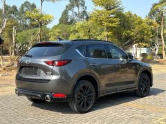 Mazda CX-5 2.5L AWD - ფოტო 15