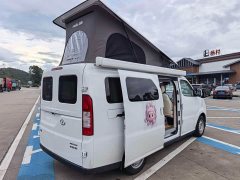 BYD vala home EditionI - ფოტო 11