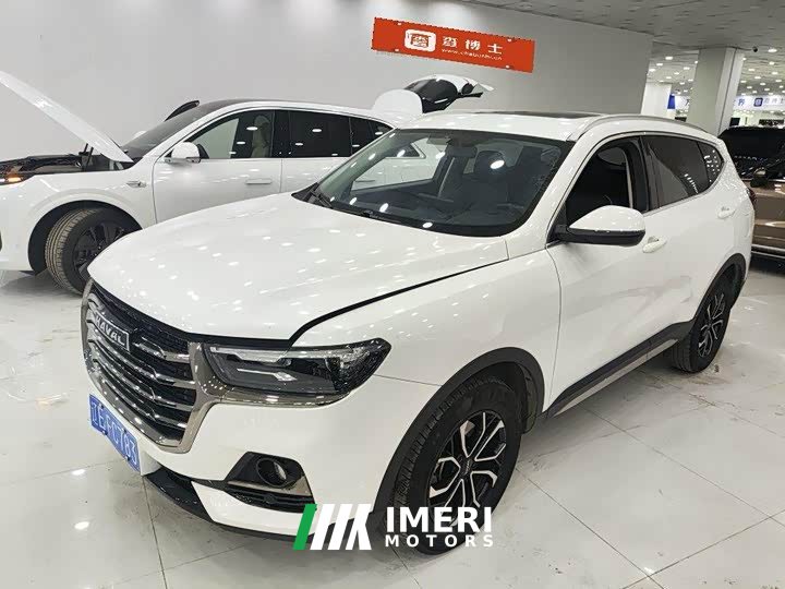 Haval H6 2021 National Trend Edition 1.5T Automatic Urban Version - ავტომობილი ჩინეთიდან