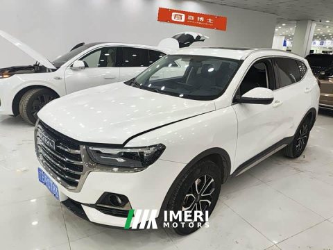 2023 Haval H6 2021 National Trend Edition 1.5T Automatic Urban Version - ავტომობილი ჩინეთიდან