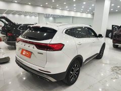 Haval H6 2021 National Trend Edition 1.5T Automatic Urban Version - ფოტო 9