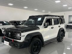 Tank 300 Off-Road Edition 2.0T Conqueror - ფოტო 1