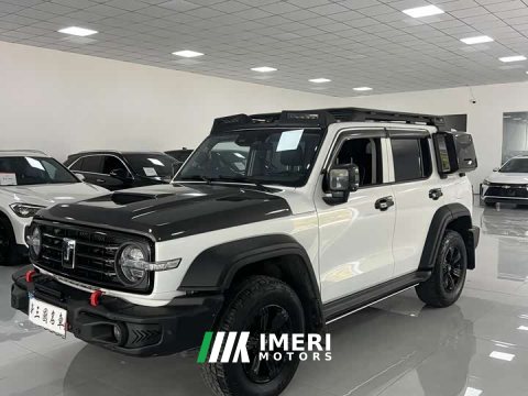2023 Tank 300 Off-Road Edition 2.0T Conqueror - ავტომობილი ჩინეთიდან