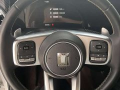 Tank 300 Off-Road Edition 2.0T Conqueror - ფოტო 13