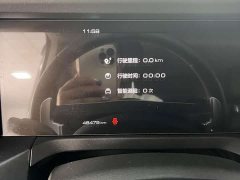 Tank 300 Off-Road Edition 2.0T Conqueror - ფოტო 14