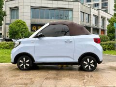 Wuling MINIEV Edition - ფოტო 3